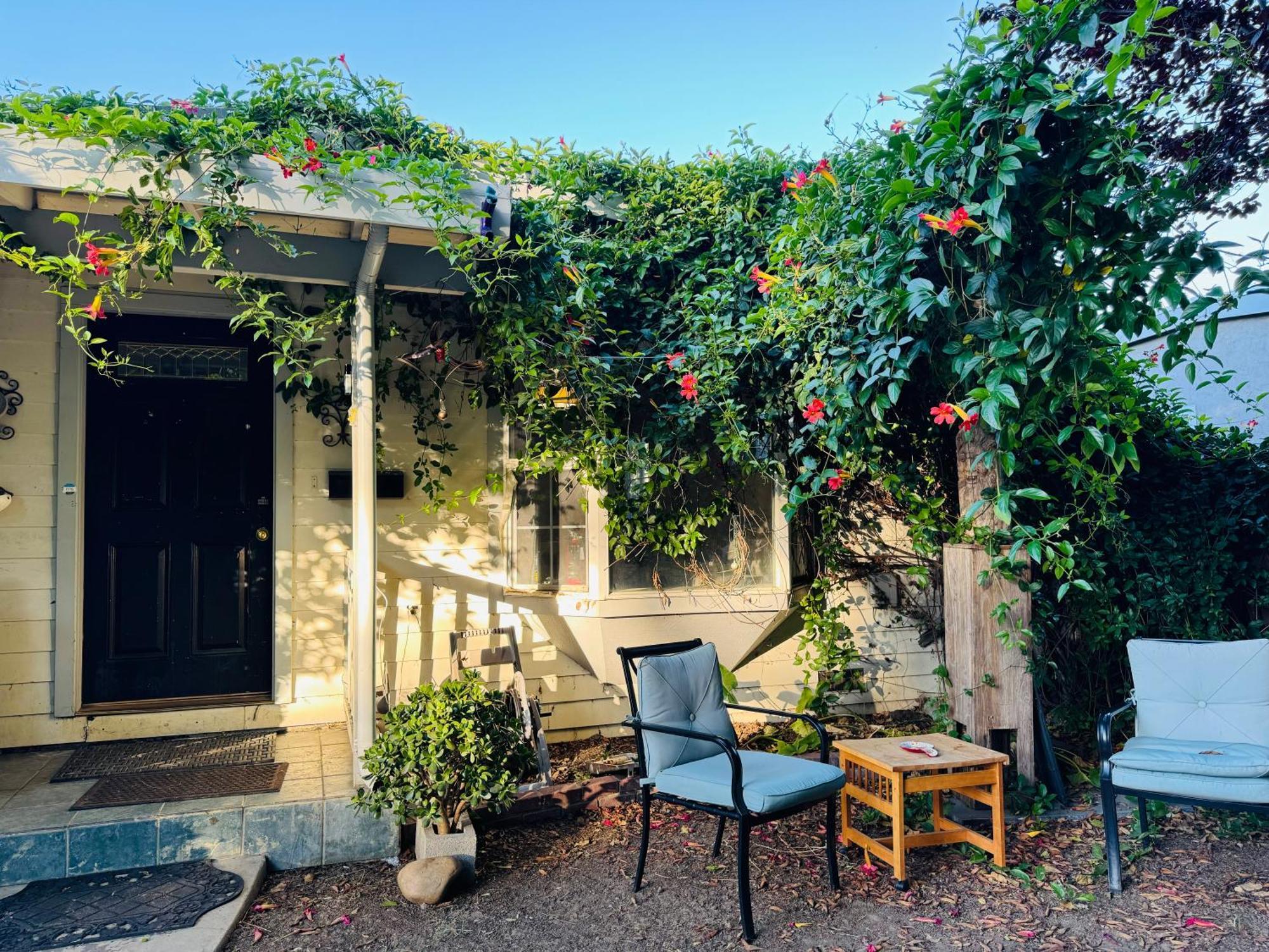 Cozy House Nested Around Trees E サンノゼ エクステリア 写真